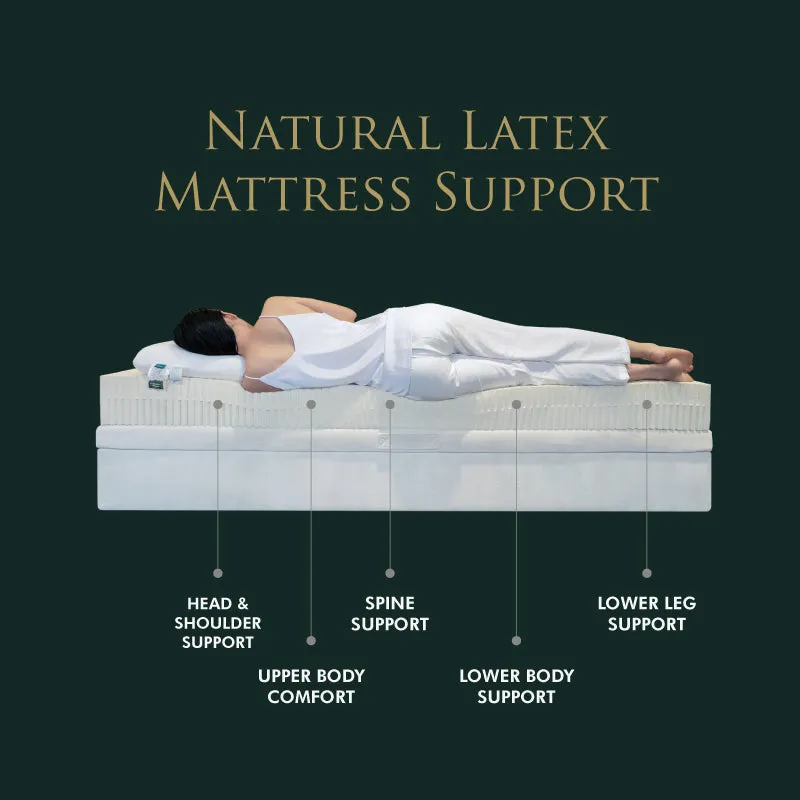 ASP (Anti Static Protection) Mattress