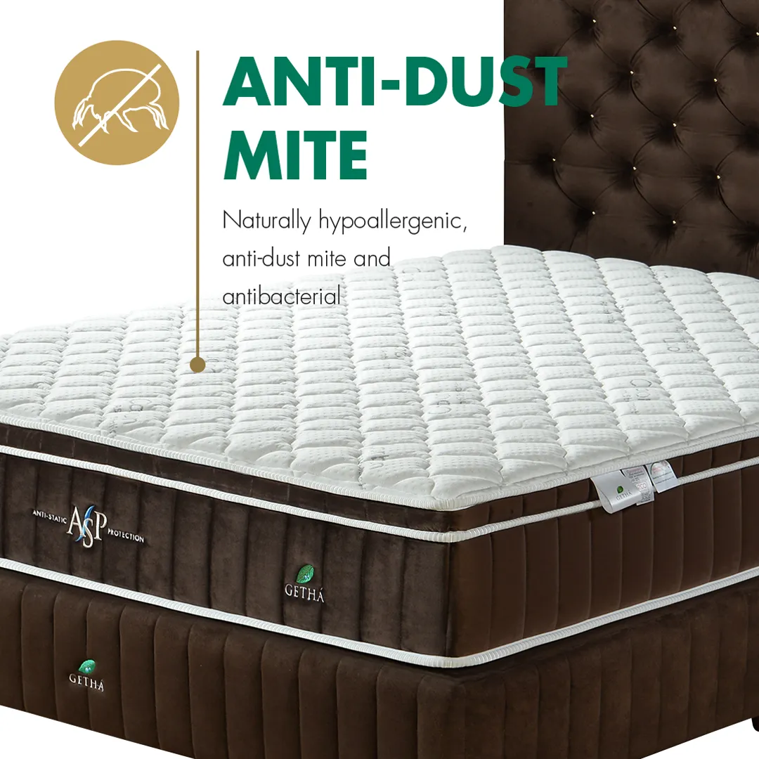 ASP (Anti Static Protection) Mattress