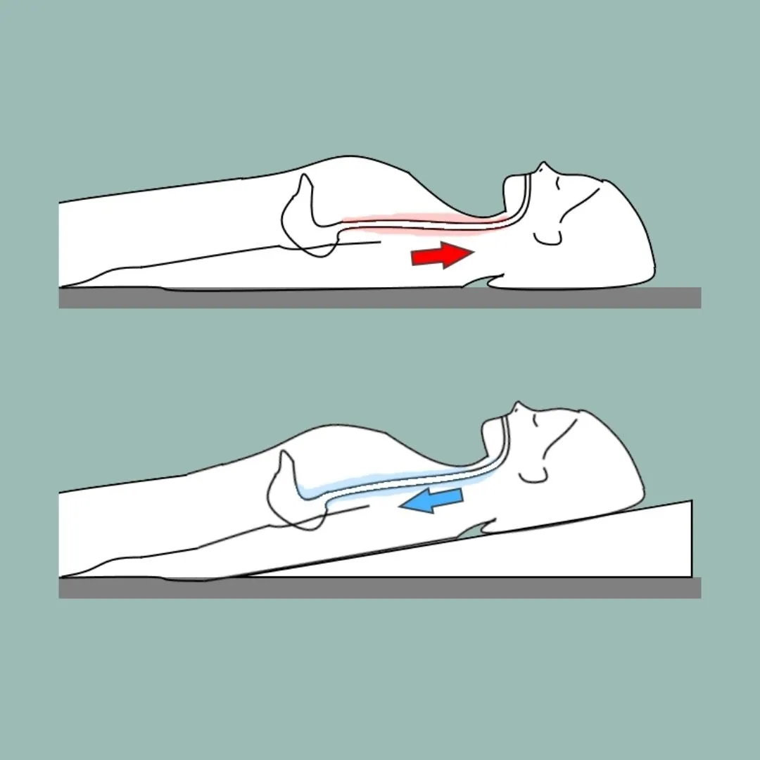 Latex Bed Wedge - Acid Reflux