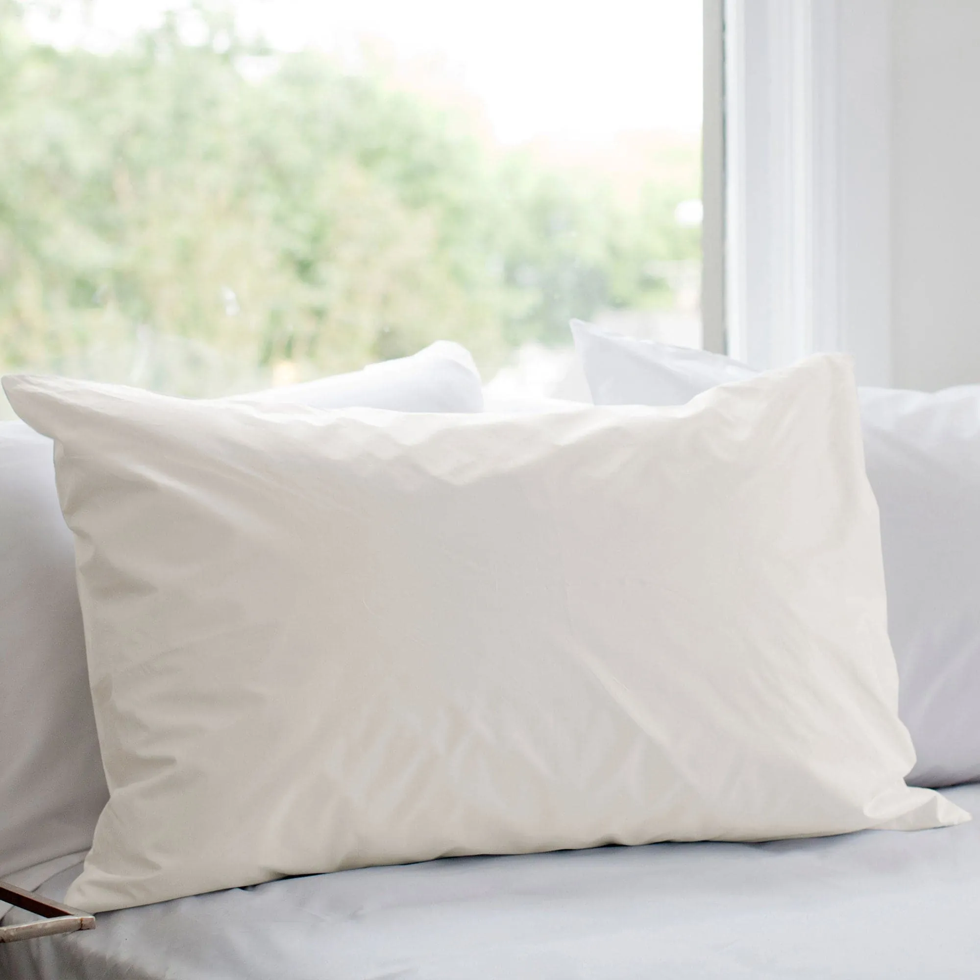 Organic Cotton Pillow Protector